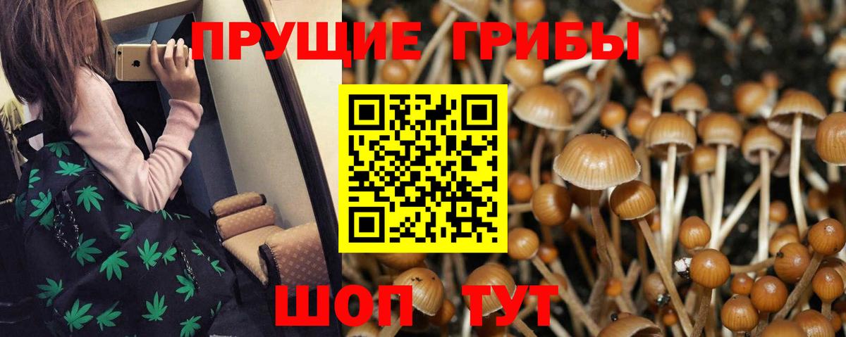Псилоцибиновые грибы Psilocybine cubensis  Вход с VPN  Губкинский 