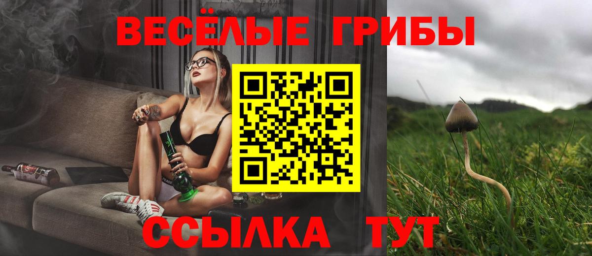 Галлюциногенные грибы ЛСД Губкинский